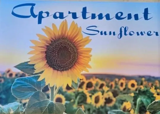 Ferienhaus Sunflower Palermo